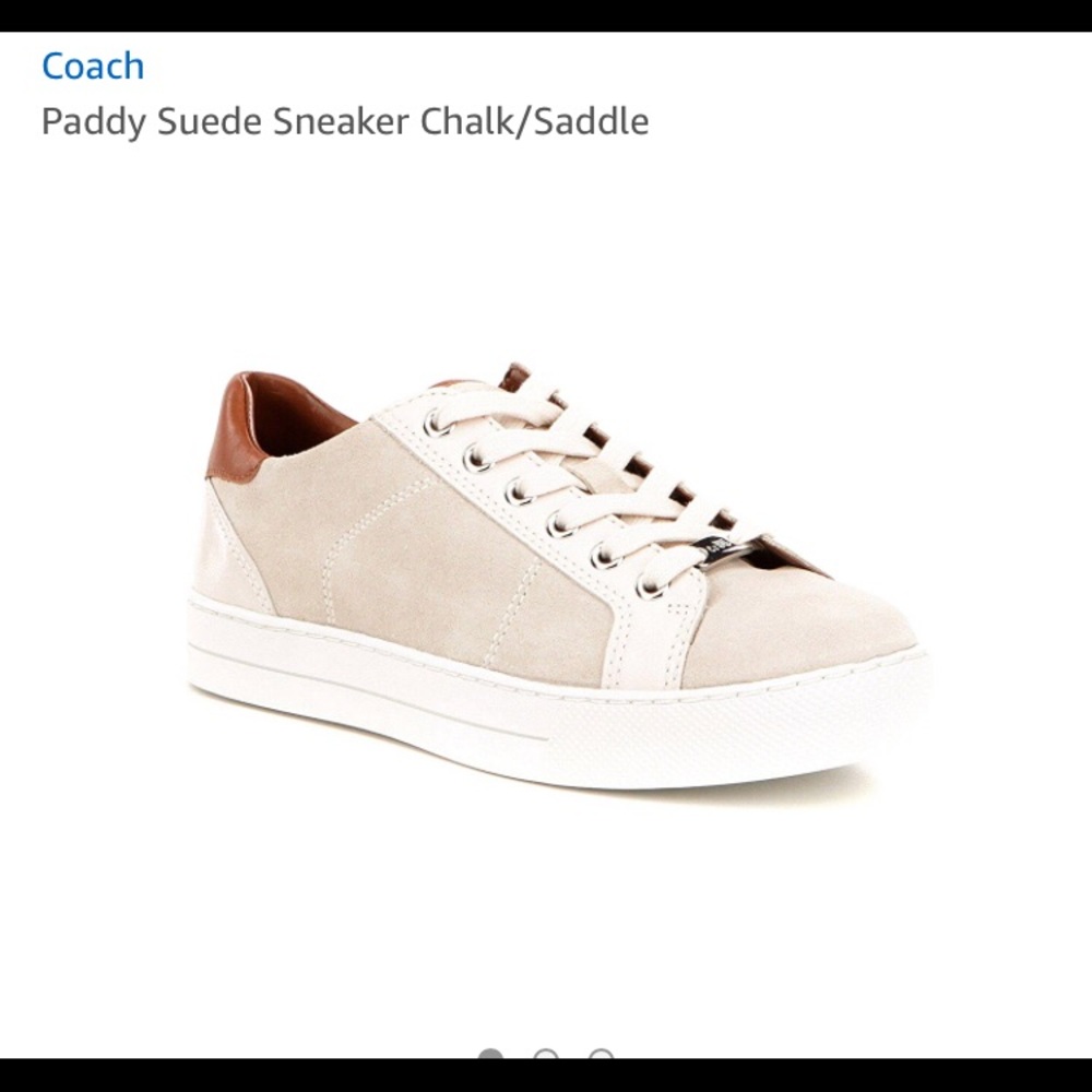 Coach Paddy Chalk Saddle